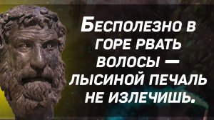 Мудрые мысли и цитаты Биона Борисфенита античного философа