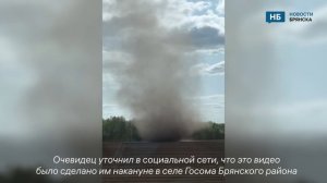 В селе под Брянском заметили торнадо