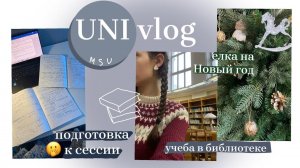 UNI vlog подготовка к сессии