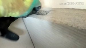 Перегородка из газоблока. Душевая в строительном исполнении.