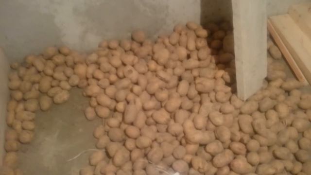 Грузинская картошка и зачем мне огород!))) смотреть онлайн