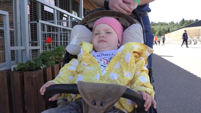 Территория эмоций впечатлений и новых открытий смотреть онлайн