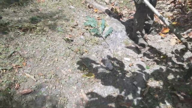 Stihl FS 560 C смотреть онлайн