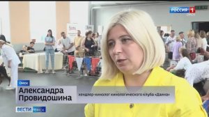 Около 300 участников и десятки разных пород собак собрались в Омске на выставку