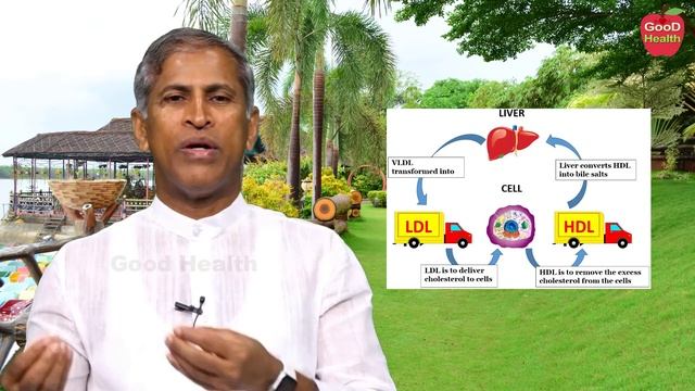 చెడు కొలెస్ట్రాల్ కరగాలంటే|LDL|Bad cholesterol removal|Manthena SatyanarayanaRaju Videos|GOOD HEALT смотреть онлайн