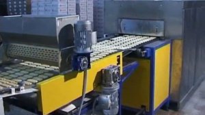 Линия производства сахарного печенья с намазкой и посыпкой прямоугольное