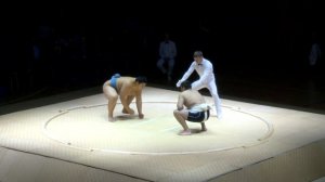 Командная товарищеская встреча по сумо между сборными Японии и Москвы