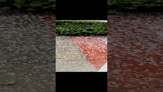 капризы погоды в санатории Белая вежа
