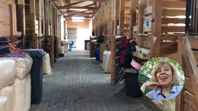 Как выбрать конюшню для постоя. Дорожная карта. Lifehack.