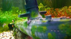 Жена такого некогда не видела... Удивительный истории из жизни людей. Необычные истории слушать