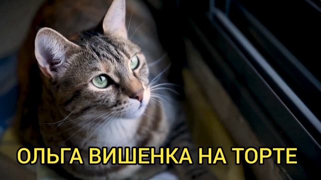 НИНО ПРОБИЛА ДНО! ПИРАТСКАЯ ЖИЗНЬ. ОБЗОР ВЛОГА.
