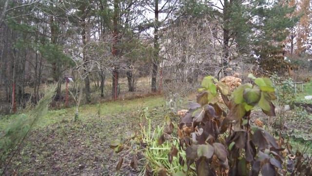 15 соток с домом в СНТ Гавань смотреть онлайн