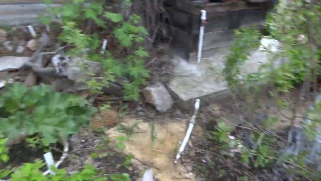 Женьшень и персики в красноярске смотреть онлайн