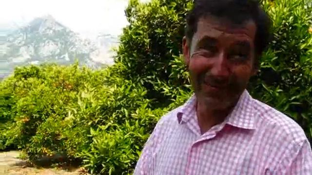 Mallorca Travel: Finca Ca's Sant in Soller - Rafael Explains Orange Tree Adoption смотреть онлайн