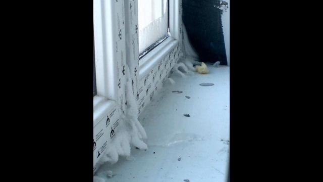 Пластиковые окна - как правильно выбрать Сравнение двух разных подходов к цене окон
