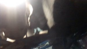 Снимаем генератор Рено Логан