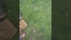 Будет кто-нибудь чай?