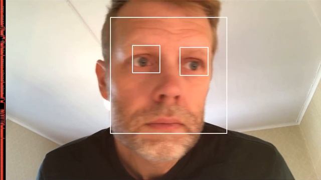 OpenCV face and eye detection using HAAR cascades (on iPad 10.5") смотреть онлайн