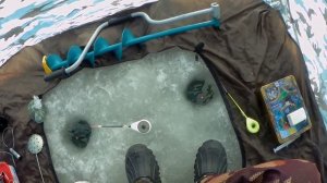 Рыбалка в Оренбургской области! Ловля ЕЛЬЦА на Урале!