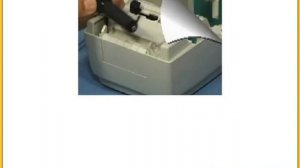 Замена валика Zebra TLP 2824 PLUS