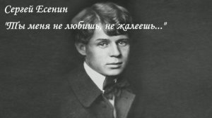 Ты меня не любишь, не жалеешь