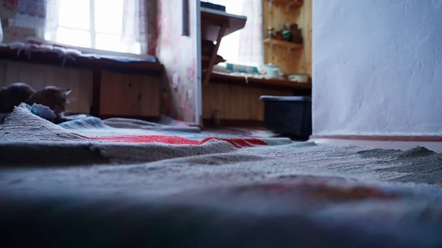 КАК ЖИВУТ ЛЮДИ В УРАЛЬСКОЙ ГЛУБИНКЕ | ЕДА ИЗ РУССКОЙ ПЕЧИ И УПРАВА ПО ХОЗЯЙСТВУ смотреть онлайн