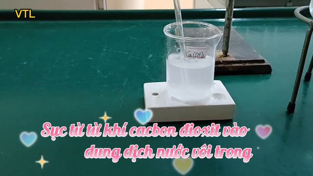Sục CO2 dư Vào dd CaOH2 смотреть онлайн