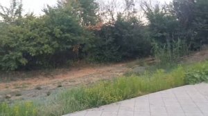 источник рядом с Дубовка (Волгоградская область)