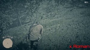 RDR 2 Как Добыть ПРЕВОСХОДНУЮ ШКУРУ гайд по охоте