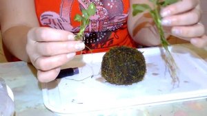 Вабикуса своими руками