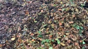 Топливные брикеты.Опилка,Стружка,Листья,