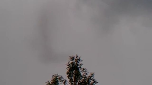 пчёлы смотреть онлайн