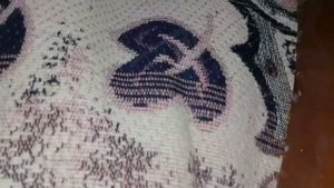 Откуда клопы в квартире❓ Как вывести клопов? Обработка: дезинсекция и дезинфекция?