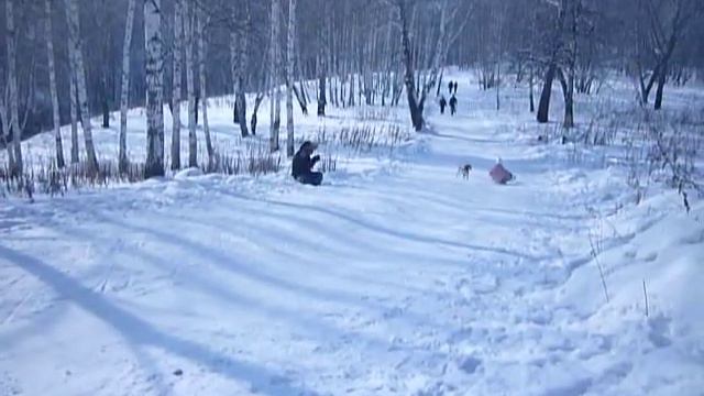 Томские бигли + зимние горки смотреть онлайн