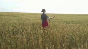 Ромашки-цветы Анна Лысцова.mp4