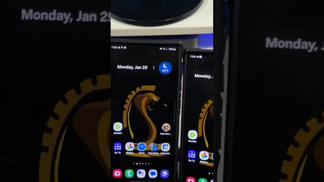 Samsung Galaxy S24 Ultra Display Doesn't Look as Good