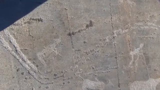 БЕЛОМОРСКИЕ ПЕТРОГЛИФЫ