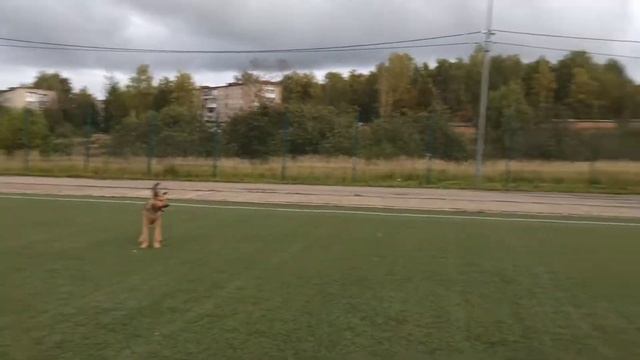 Позитивная ТРЕНИРОВКА!!! / Футбольный клуб, дворовый футбол