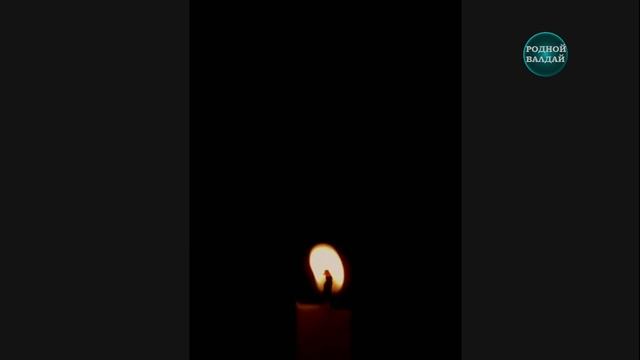 Список пассажиров и экипажа самолета Airbus A321 смотреть онлайн