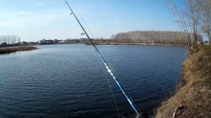 DAIWA CROSSFIRE LT. ОБЗОР +ТЕСТ. ОТКРЫЛ СЕЗОН!!!