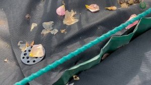 Какой каркас выбрать при укрытии роз на зиму . Питомник растений Е. Иващенко