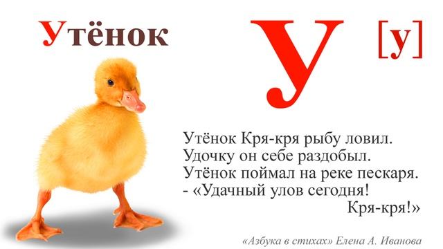 Буква У "Азбука в стихах"