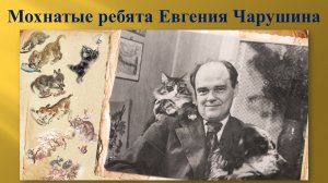 Летний читальный зал "Мохнатые ребята Евгения Чарушина"