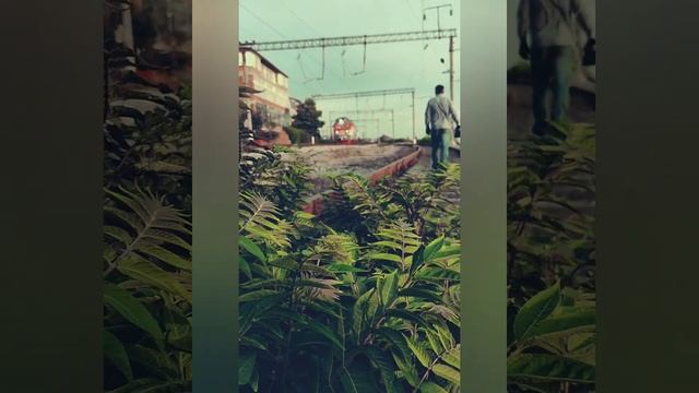 жизнь море кавказ дагестан махачкала туризм отдых красиво мотоциклы релакс экстрим мотожизнь смотреть онлайн