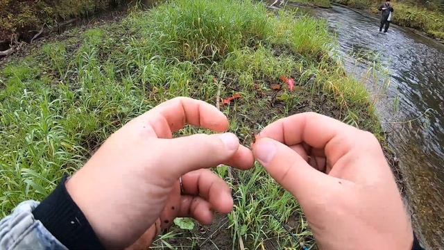 Ловля ХАРИУСА ОСЕНЬЮ !! ОЧЕНЬ КРАСИВАЯ Таёжная речка в СИБИРИ