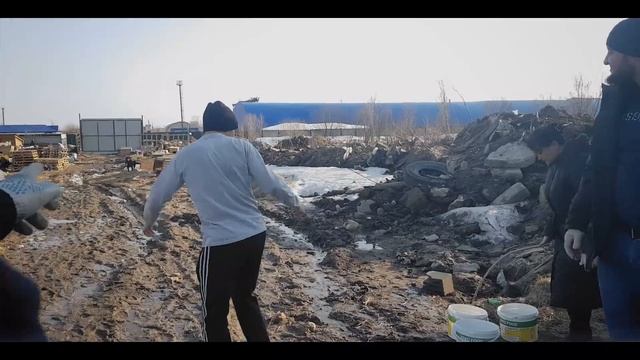 Помогаем в приюте бездомным собакам. Приют смотреть онлайн