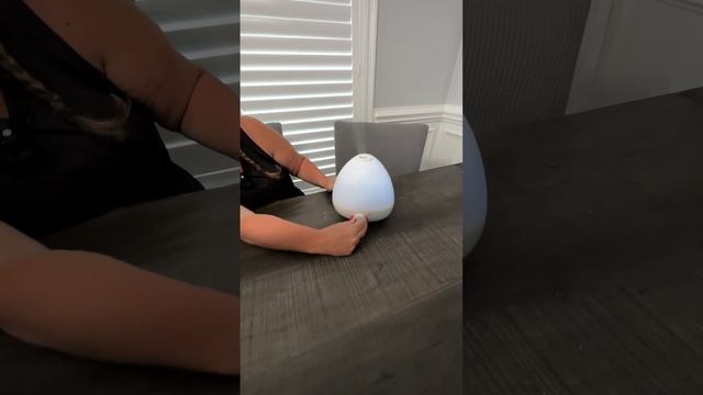 Frida Baby 3-in-1 Humidifier with Diffuser and Nightlight - Honest Review смотреть онлайн