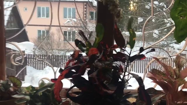 Дача / выходные / райское место смотреть онлайн