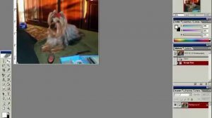 Видеоуроки по фотошопу. 6. Урок подготовки изображения к печати в фотолаборатории