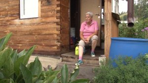 Голова садовая - Натуральный стимулятор роста, цветения и созревания